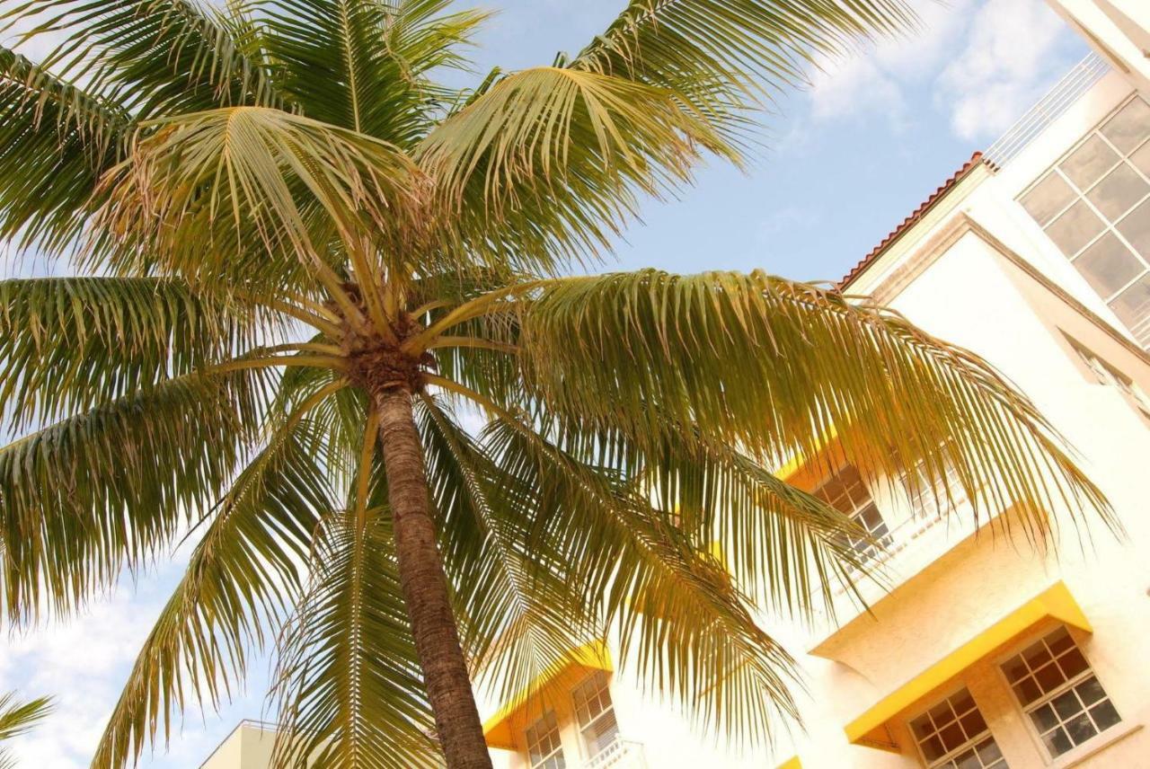 2 Bedroom Ocean Drive Newly Renovated マイアミビーチ エクステリア 写真